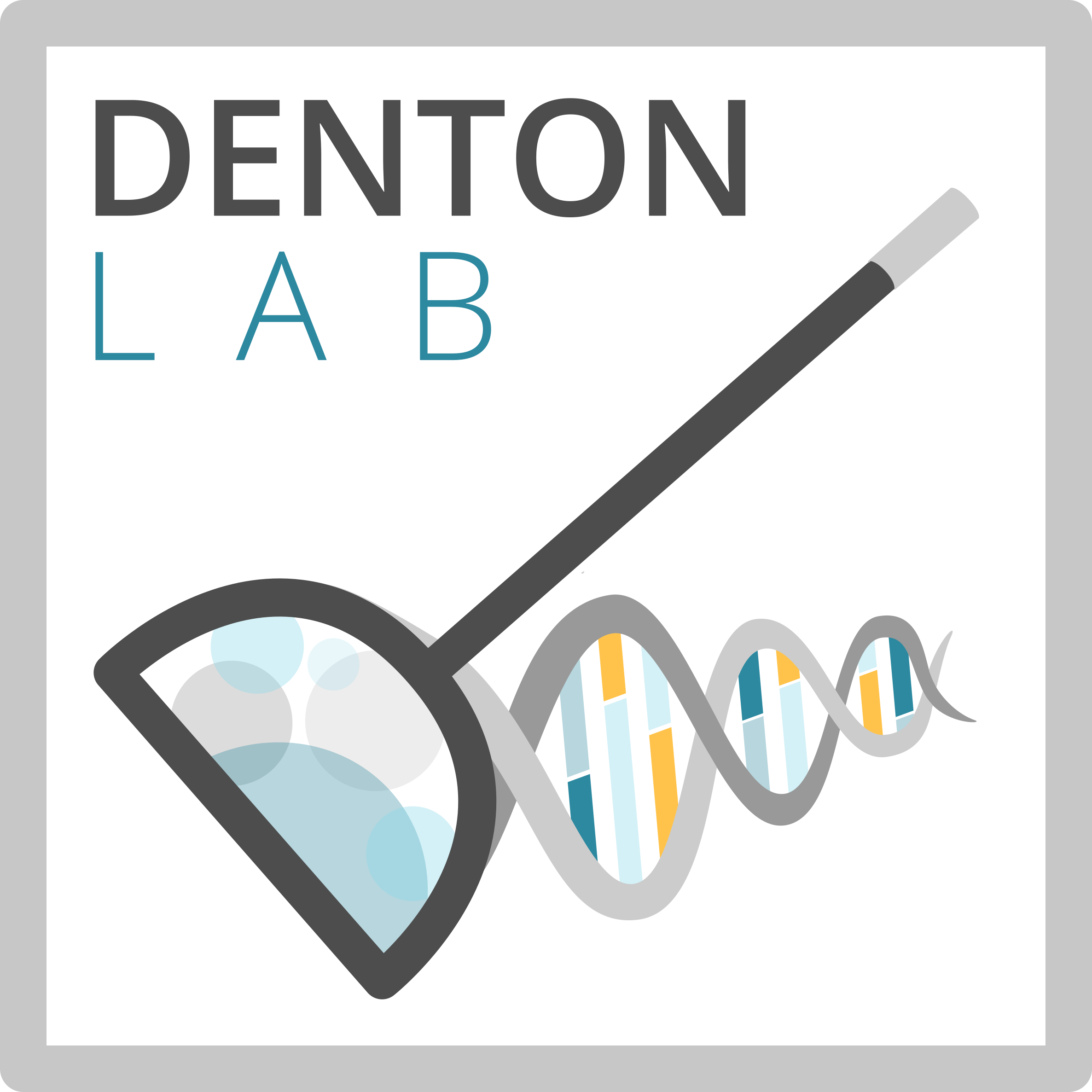 lab-info-denton-lab